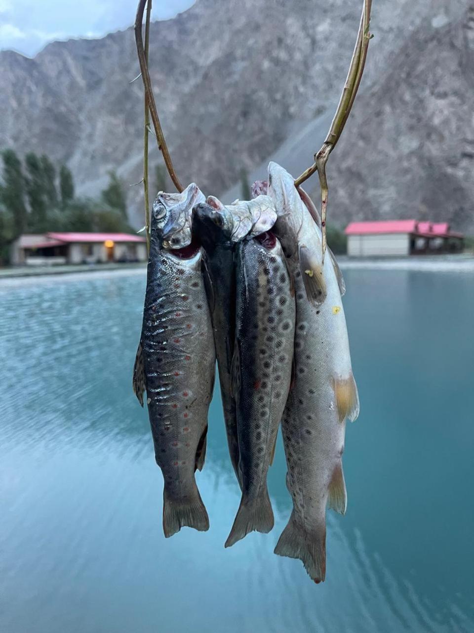 Dream Nest Resorts Skardu Esterno foto